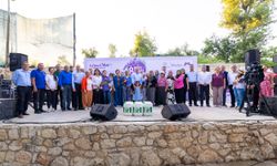 Silifke'de renkli lavanta hasadı