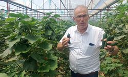 Üreticiler DMD'li Süleyman için seferber oldu
