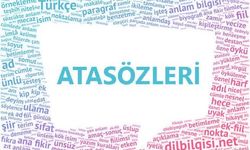 “Abdal Ata Binince Bey Oldum Sanır, Şalgam Aşa Girince Yağ Oldum Sanır” Atasözünün Anlamı ve Verdiği Ders