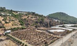 Alanya ve Gazipaşalı yangınzede üreticilere sera naylonu desteği