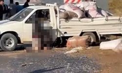 Alanya'da kaza yapan kamyonet sürücüsü yaşamını yitirdi