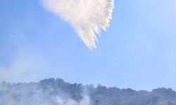 Antalya'da 2 günde 38 yangın