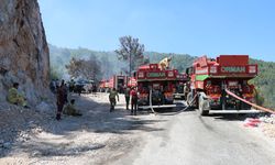 Antalya'da orman yangını (3)