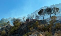 Antalya'nın 2 ilçesinde orman yangını / Ek fotoğraflar