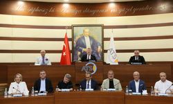 Antalya'nın kent simgesi için 'Caretta caretta' önerisi