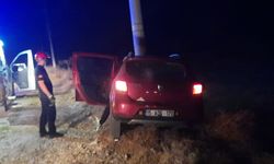 Direğe çarpan otomobilin sürücüsü yaralandı