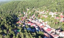 Göç yolundaki leylekler, Amanos Dağları'nda dron ile görüntülendi