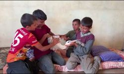 Göçte yorgun düşen leyleği evinde misafir etti
