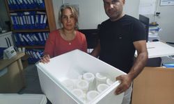 Hatay'da 57 bin adet faydalı böcek doğaya salındı
