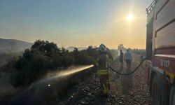 Hatay'da bahçe yangını söndürüldü