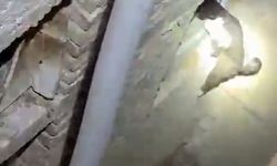 Havalandırma boşluğuna düşen kedi, kurtarma ekibini görünce kaçtı