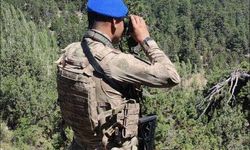 Jandarma orman nöbetinde