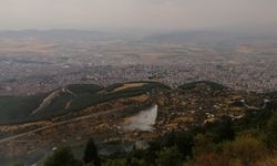 Kahramanmaraş'ta orman yangını (2)