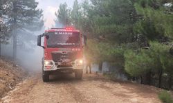 Kahramanmaraş'ta orman yangını / Ek fotoğraflar