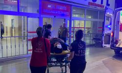 Kozan'da zincirleme trafik kazası: 2 yaralı
