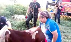 Kuyuya düşen ineğini kurtaran ekiplere sarılıp, gözyaşı döktü