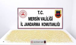 Mersin'de 3 bin 760 uyuşturucu hap ele geçirildi