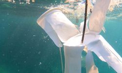 Mikroplastik kirliliği, su altında daha yoğun