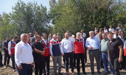 Osmaniye, mısır üretiminde Türkiye'nin 7'nci sırasında