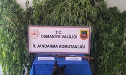 Osmaniye'de 128 şüpheli yakalandı