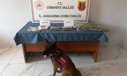 Osmaniye'de jandarma son bir haftada 118 şüpheliyi yakaladı