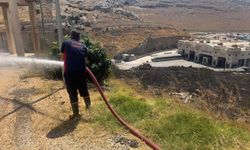 Otluk alandaki yangın söndürüldü