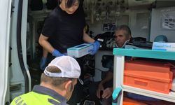 Otomobiller kafa kafaya çarpıştı: 4 yaralı