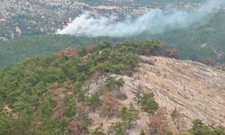 Silifke'de ormana düşen yıldırım yangına neden oldu