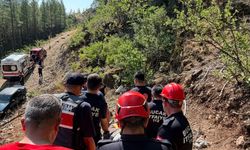 Sızgıla otu toplarken kayalıktan düşüp yaralandı
