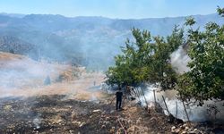 Tarım arazisinde çıkan yangında 4 dönüm alan zarar gördü