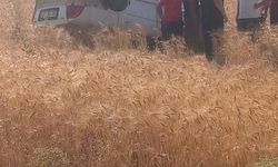 Tarlaya yuvarlanan otomobilin sürücüsü yaralandı