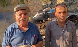 Üretimi zahmetli sedir katranının kilosu 1000 lira