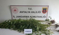 Uyuşturucu operasyonunda 745 gram esrar ele geçirildi