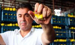 Dalında 5 TL markette 100 TL