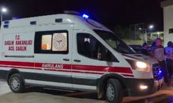 Adana'da otomobilin çarptığı yayaya ağır yaralandı