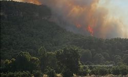 Antalya Aksu'da orman yangını /Ek fotoğraflar