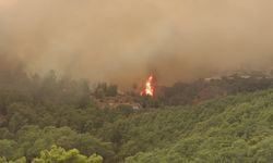 Antalya Kumluca'da orman yangını / Ek fotoğraflar