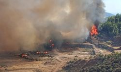 Antalya Kumluca'da orman yangını