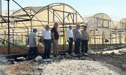Antalya Kumluca'daki orman yangın tamamen kontrol altında (3)