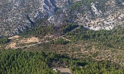 Antalya'da orman yangını (2)