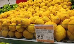 Dalında 5 TL olan limon, markette 20 katına satılıyor