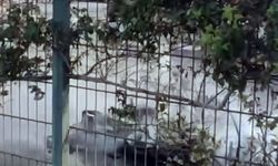 Elektrikli motosiklet seyir halindeyken yandı