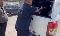 Göç yolundayken bitkin halde bulunan leylek koruma altına alındı