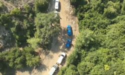 Hatay'da 371 kök kenevir ele geçirildi