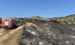 Hatay'da zeytinlik alandaki yangın söndürüldü