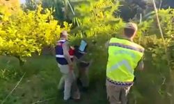 Jandarmadan uyuşturucu ve sahte içki operasyonu: 3 gözaltı