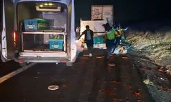 Kamyonet, TIR'a arkadan çarptı: 2 ölü /Ek fotoğraflar
