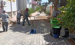Kemer'de okul bahçelerinde temizlik