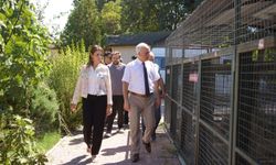 Konyaaltı'nda can dostlar için dayanışma ziyareti