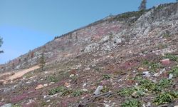 Köylerini iki kez kurtardılar, 'Çevre Ödülü'nü kazandılar / Ek fotoğraflar